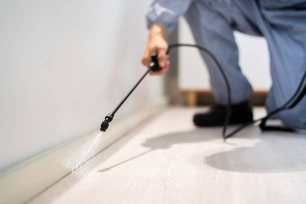Rodent Entry Point Assessment in Prior Lake