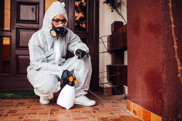 Attic and Crawl Space Rodent Treatment in Prior Lake