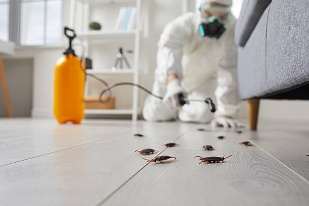 Commercial Rodent Management in Prior Lake